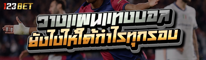 วางแผลแทงบอล ยังไงให้ได้กำไรทุกรอบ