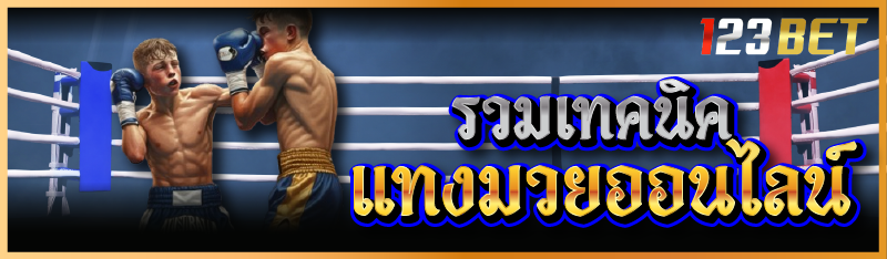 รวมเทคนิคแทงมวยออนไลน์