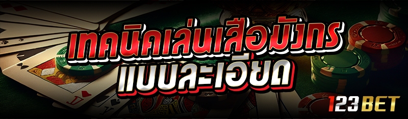 เทคนิคเล่นเสือมังกรแบบละเอียด 